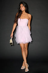 Delightful Beauty Pale Pink Mesh Strapless Ruffled Mini Dress